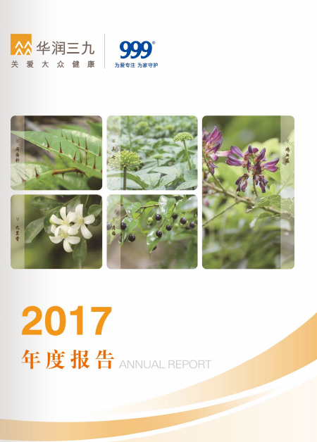 尊龙时凯：2017年年度报告